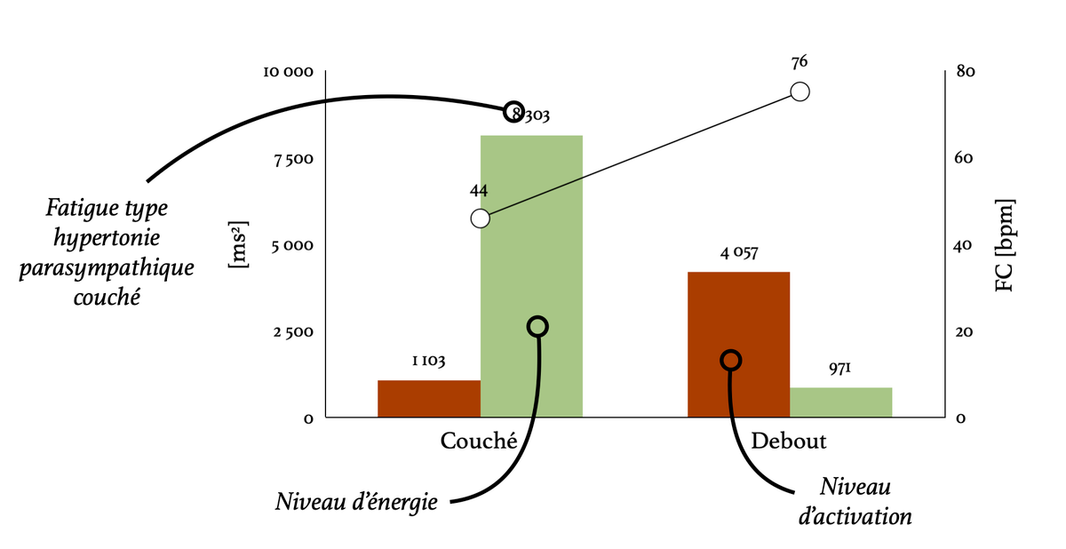 Analyse LF/HF couché-debout : niveau d'énergie et niveau d'activation