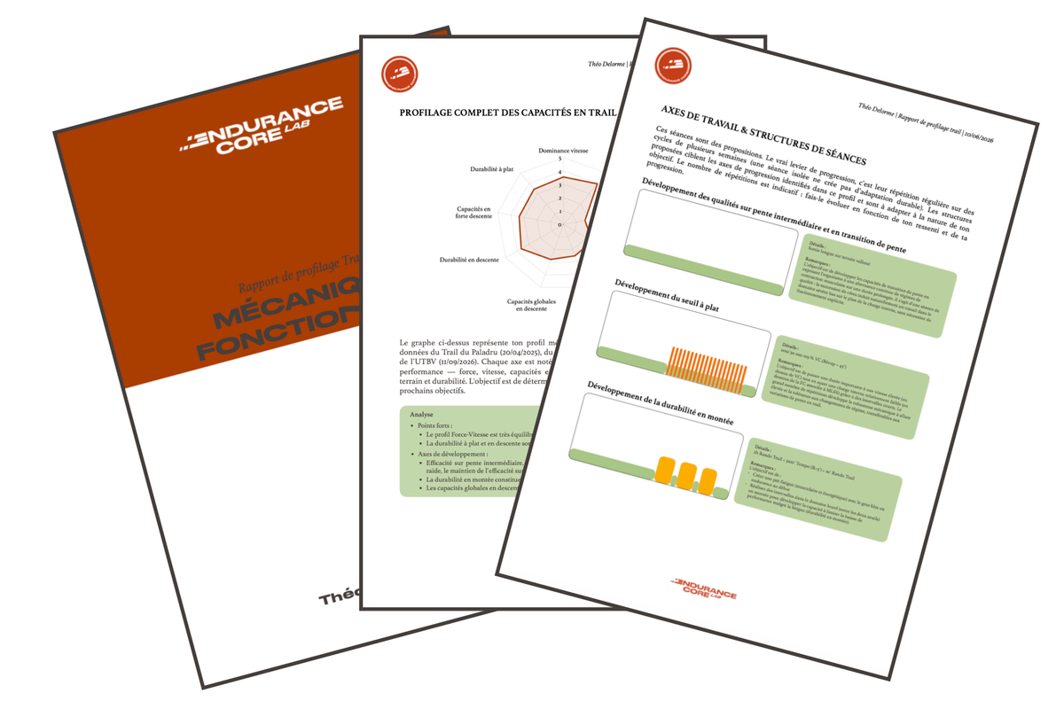 Aperçu des pages du rapport de profil mécanique fonctionnel