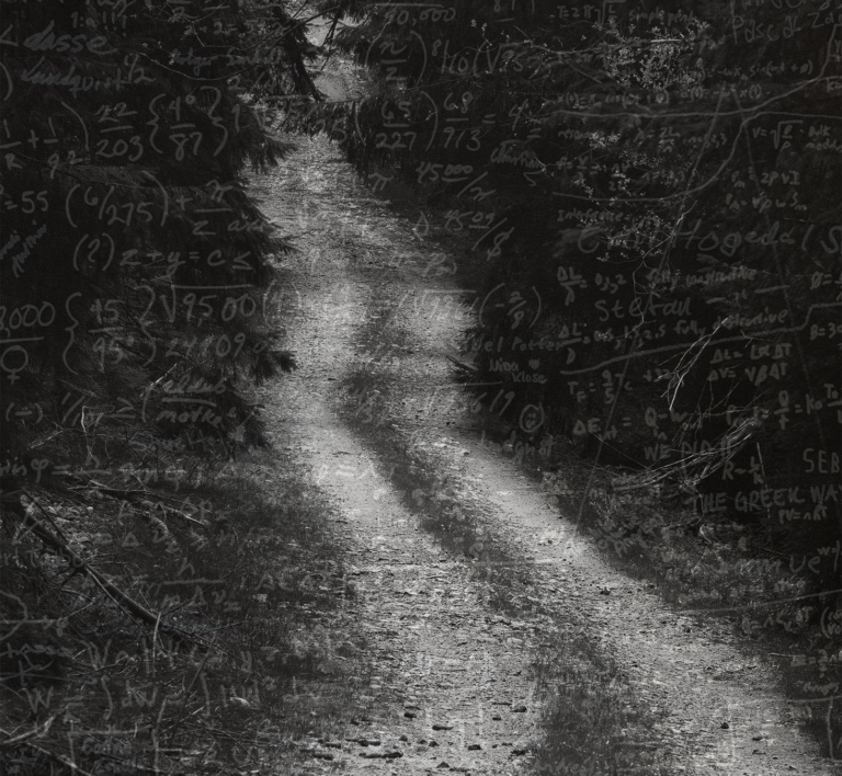 La descente en trail